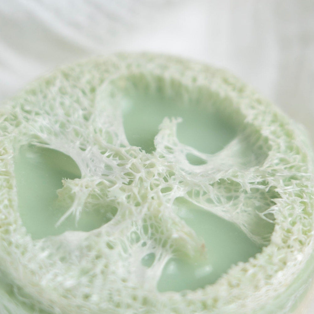 Close-up of a green loofah sponge on a white background