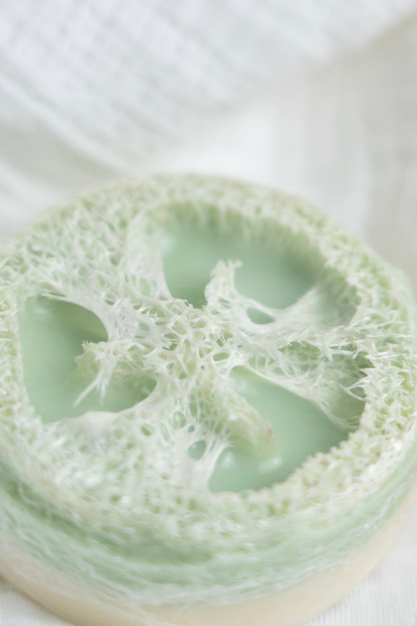 Close-up of a green loofah sponge on a white background