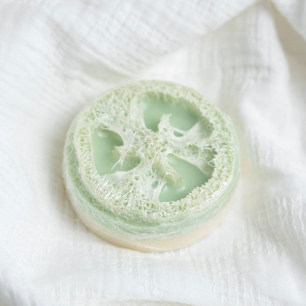 Loofah sponge on a white fabric background
