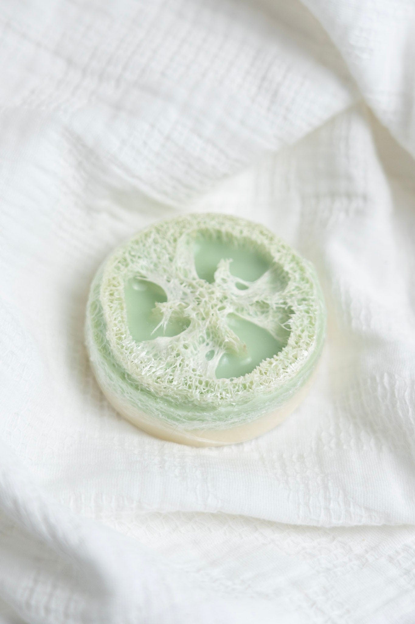 Loofah sponge on a white fabric background