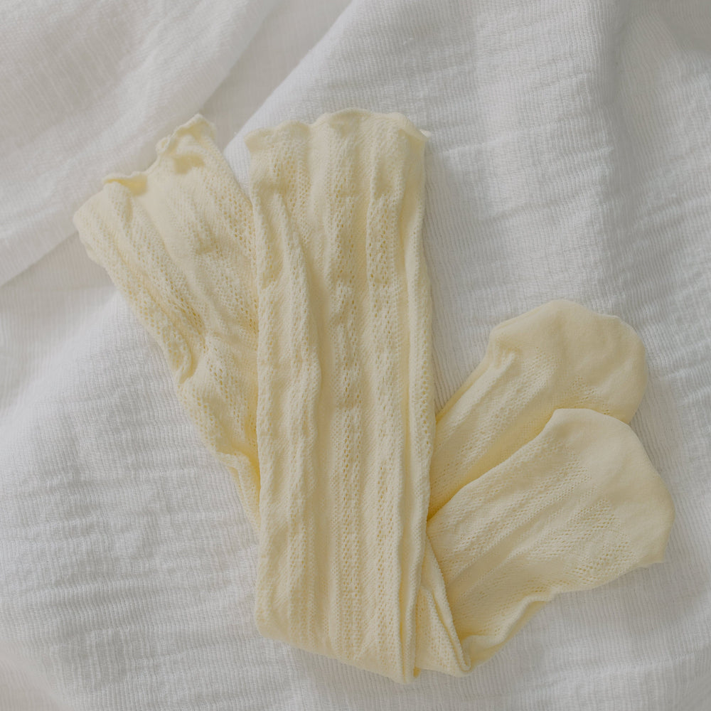 Pair of lace socks on white background