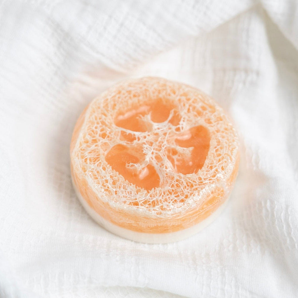Loofah sponge on a white fabric background