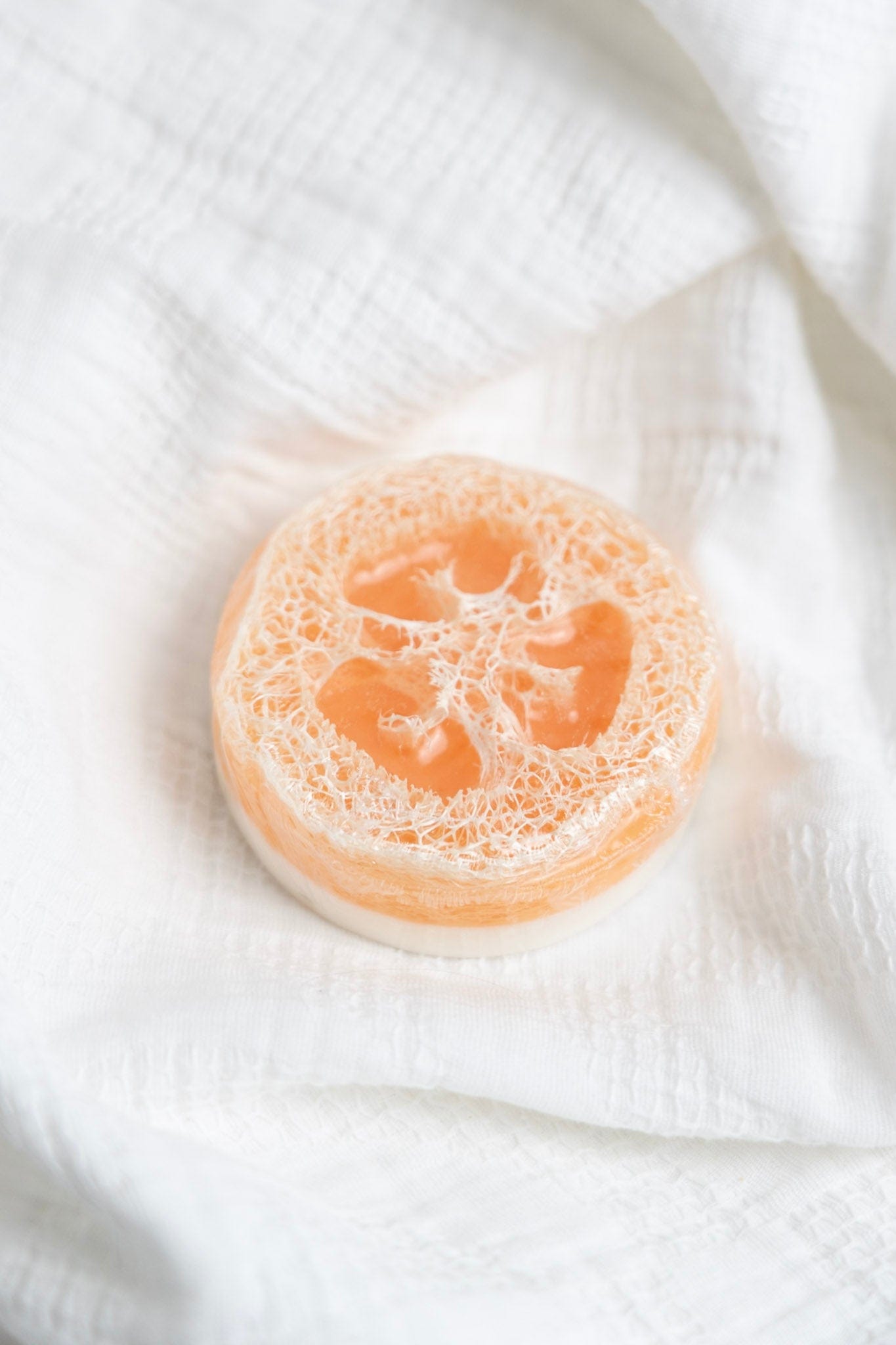 Loofah sponge on a white fabric background