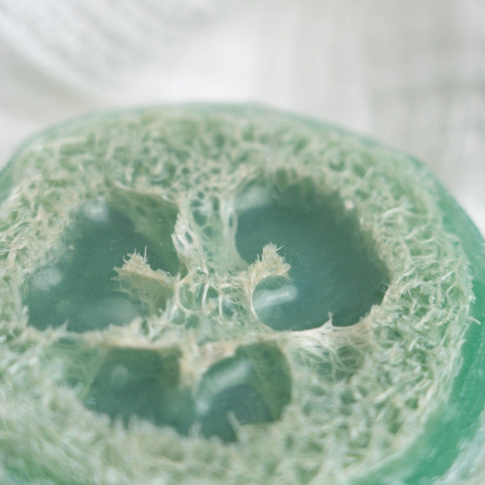 Close-up of a green soap, on a white background