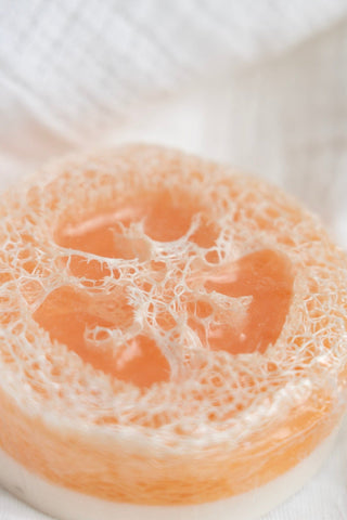 PARADISE VALLEY LOOFAH SOAP WITH PEACH, AMBER, & OAKMOSS - EXFOLIATING MOISTURIZING BAR - Love Marlow