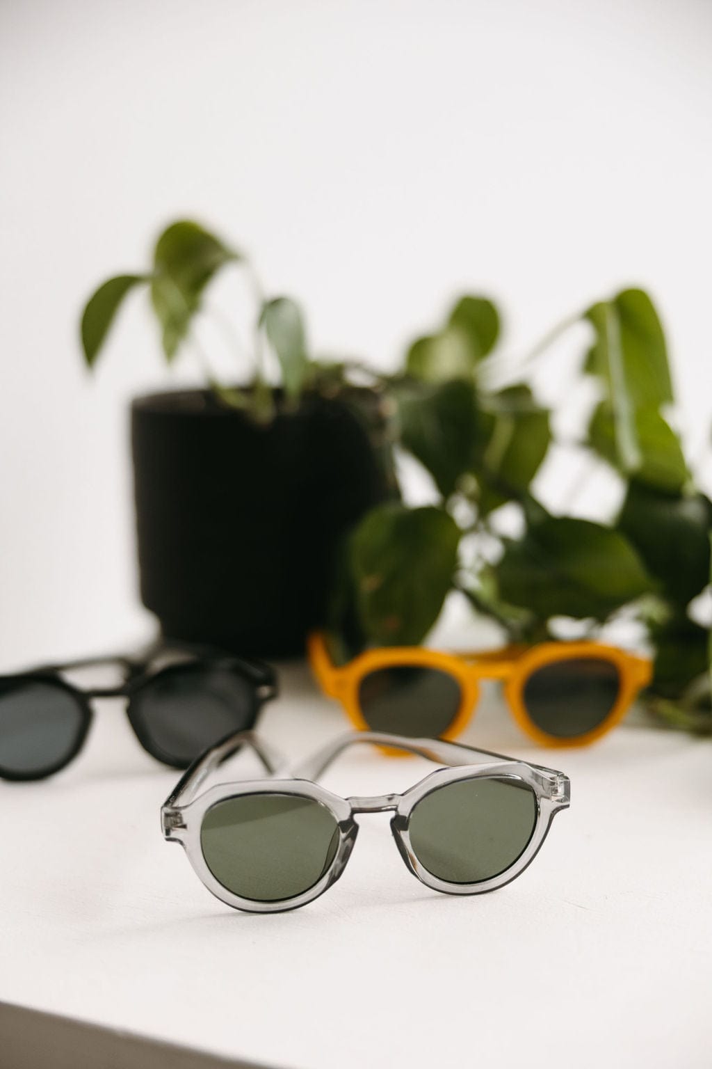 PORTSTEWART SUNGLASSES IN TORTOISE - Love Marlow