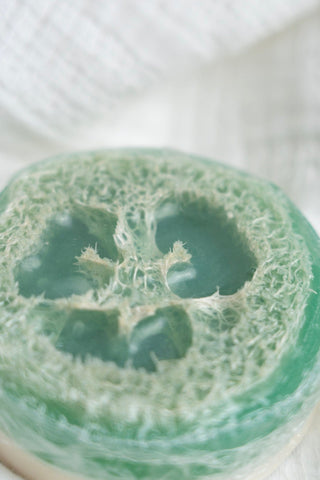 WILD NECTAR LOOFAH SOAP WITH COCONUT, VANILLA, & CITRUS – NATURAL EXFOLIATING & MOISTURIZING BAR - Love Marlow