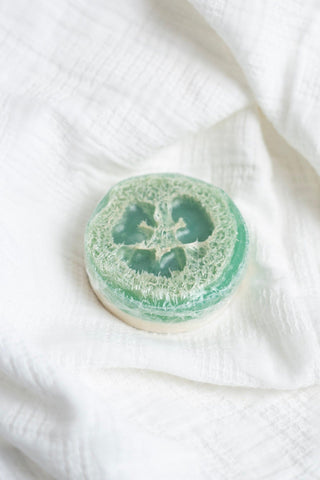 WILD NECTAR LOOFAH SOAP WITH COCONUT, VANILLA, & CITRUS – NATURAL EXFOLIATING & MOISTURIZING BAR - Love Marlow