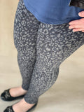 Indigo Leopard